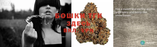 MESCALINE Богданович