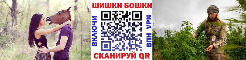 Бошки Шишки план  Обь 